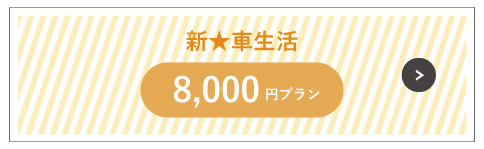 8,000円プラン